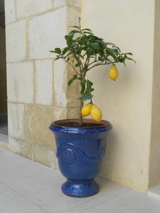Sous Le Neflier Bed & Breakfast Nîmes Eksteriør bilde